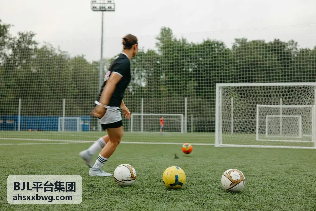 BJL集团数据分析场景